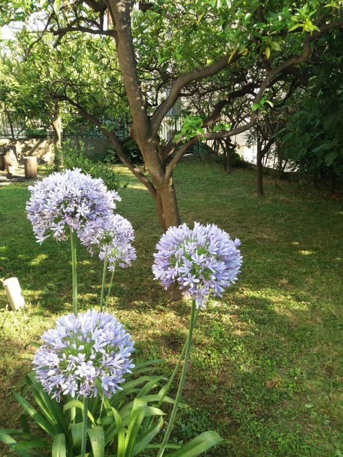 Guest House Topla Herceg Novi Exterior photo